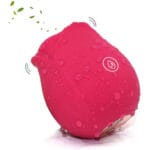 Vibro Rosa Sugadora de Clitóris Excitante Recarregável - Imagem 3